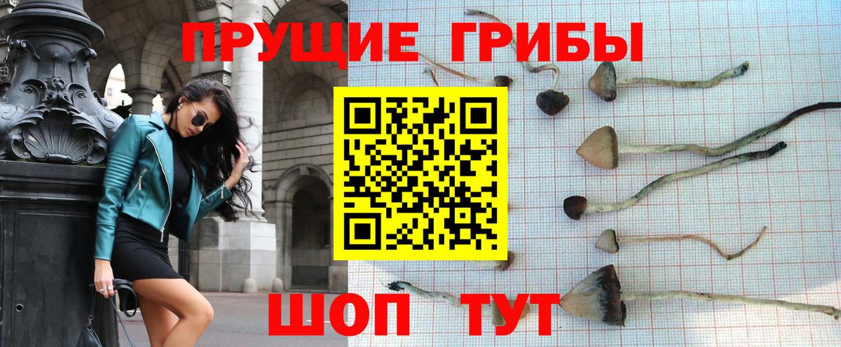 Галлюциногенные грибы Cubensis Нижнеудинск