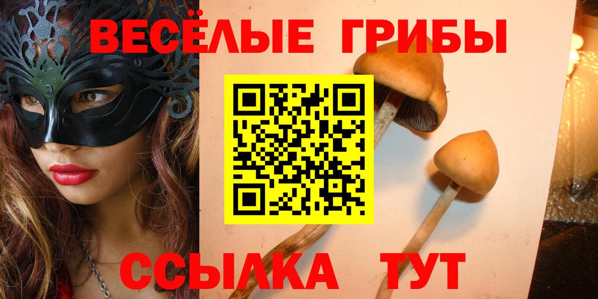 Галлюциногенные грибы ЛСД  Вход с VPN  закладка  Нижнеудинск 